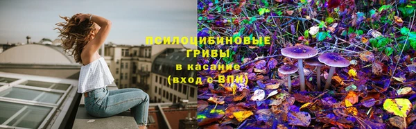 бошки Михайловск