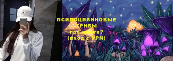 спиды Михайловка