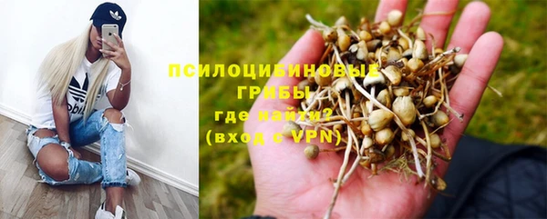 скорость Арсеньев