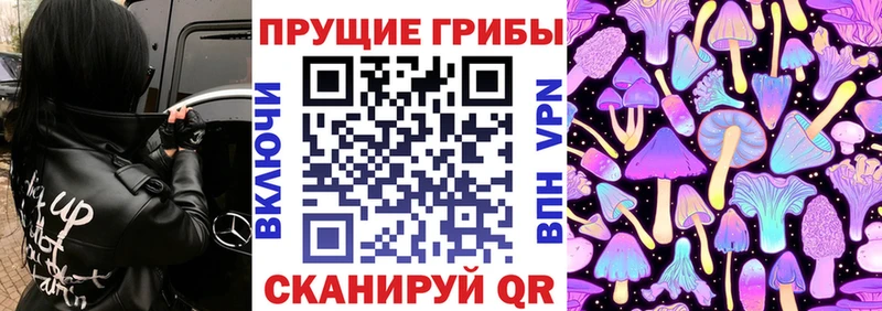 Псилоцибиновые грибы Cubensis Дудинка